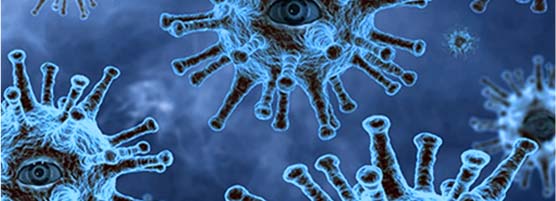 Desinfizieren von Oberflächen vom Fachmann